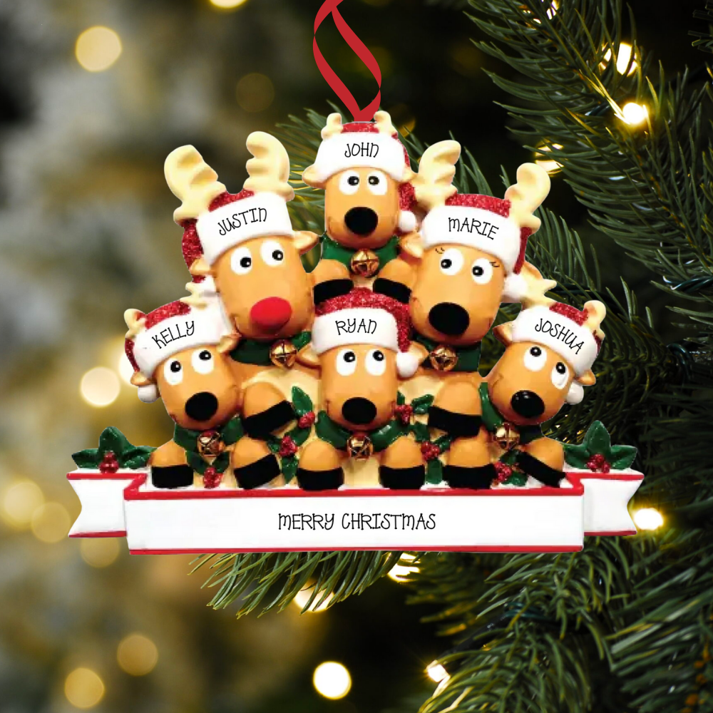 Family of 6 Ornaments