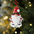 Gnome Ornaments