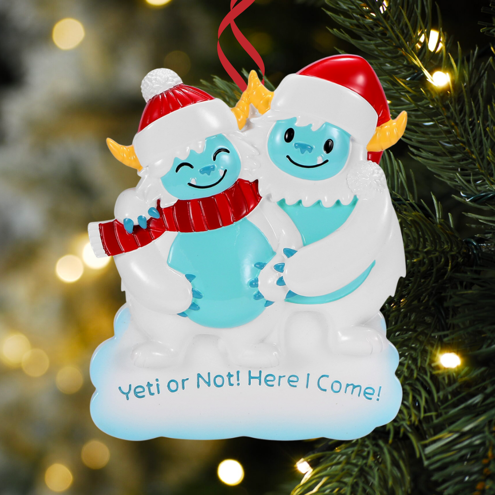 We're Expecting Ornaments