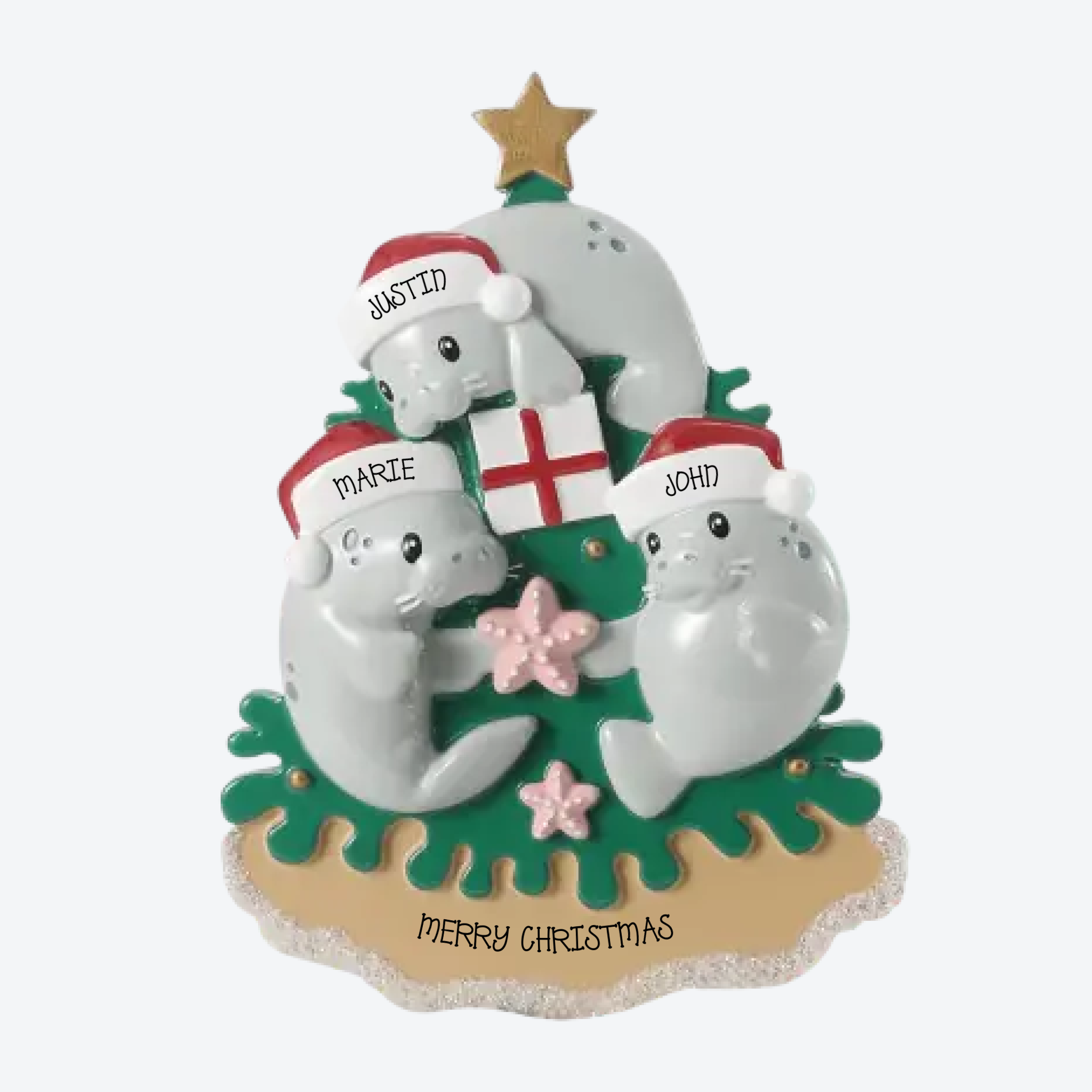 OT2914-3 - Manatee Family -3