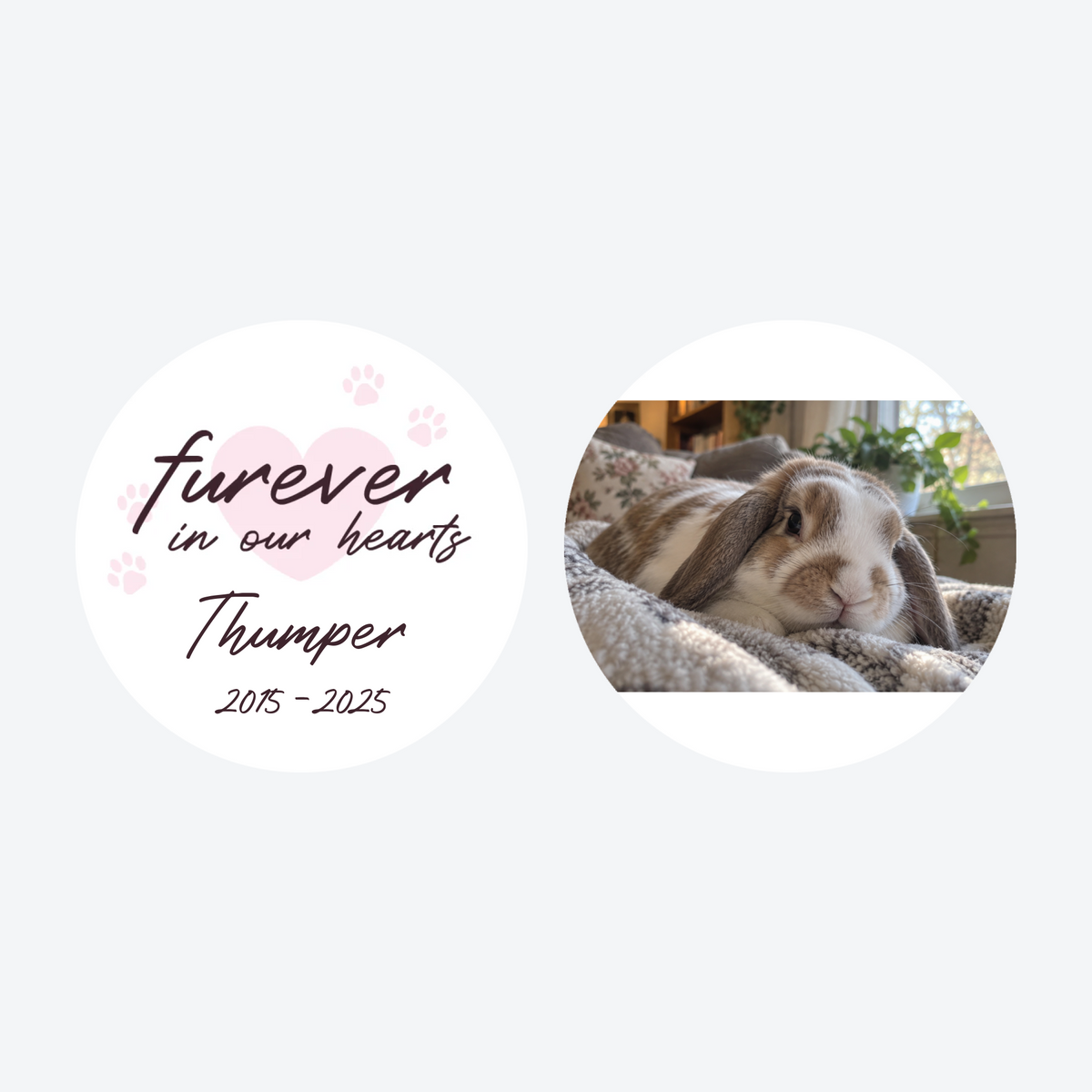 Personalized Furever in Our Hearts Pet Photo Christmas Ornament
